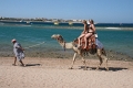 Vakantie Egypte 2010-27